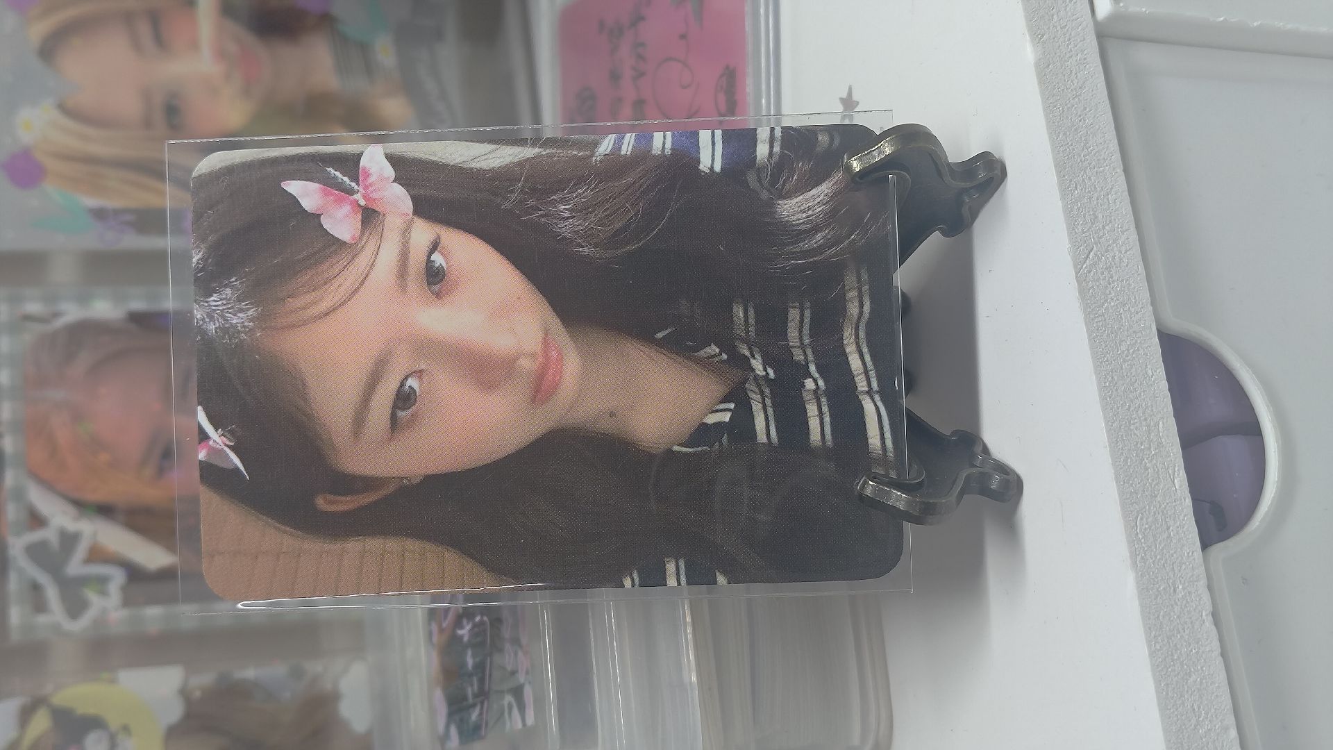 wm6.0蝴蝶結.蝴蝶怜