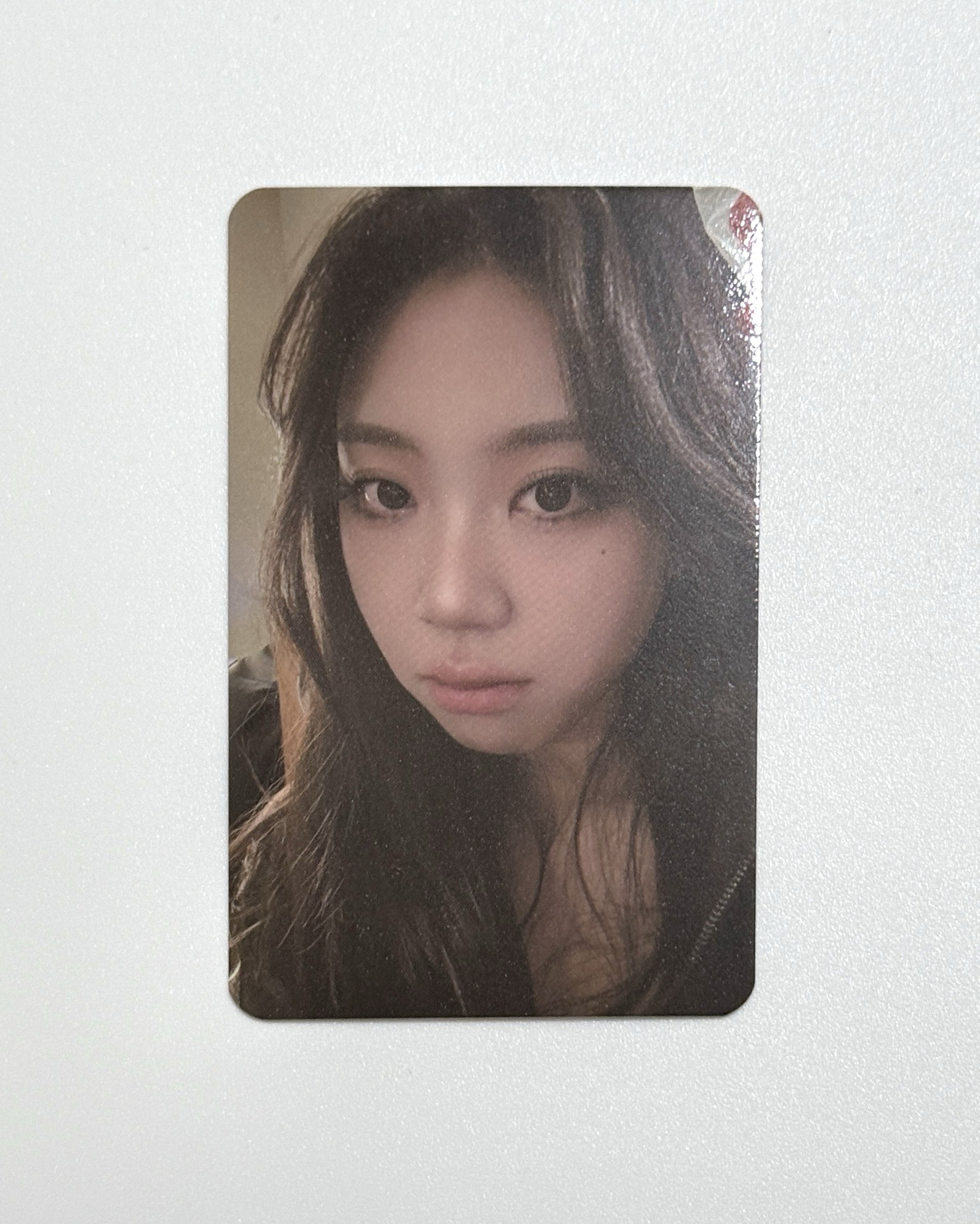 李泳知｜櫻花季入場卡