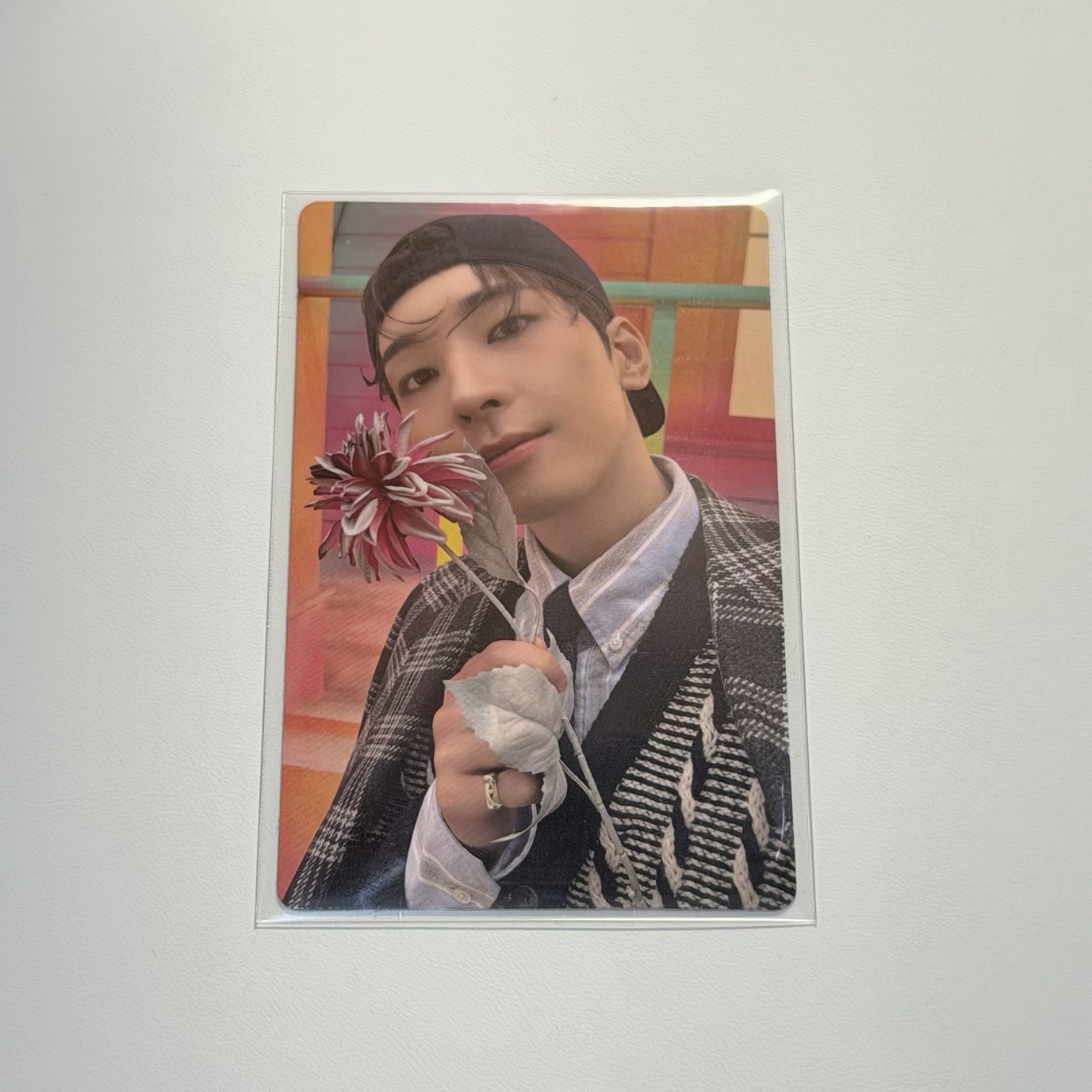 精選專 wvs 特典卡 圓