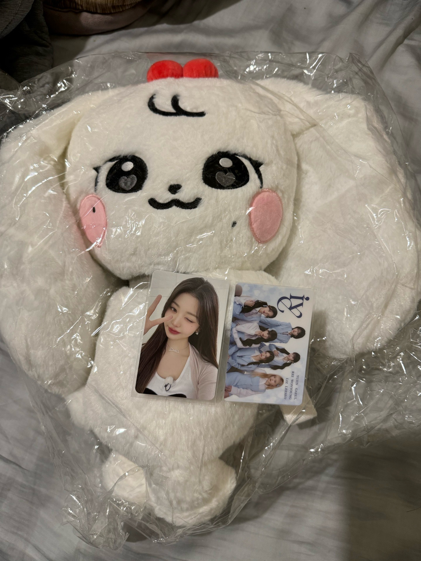 IVE MINIVE SCHOOL 抱抱娃包 Cherry 含娃卡