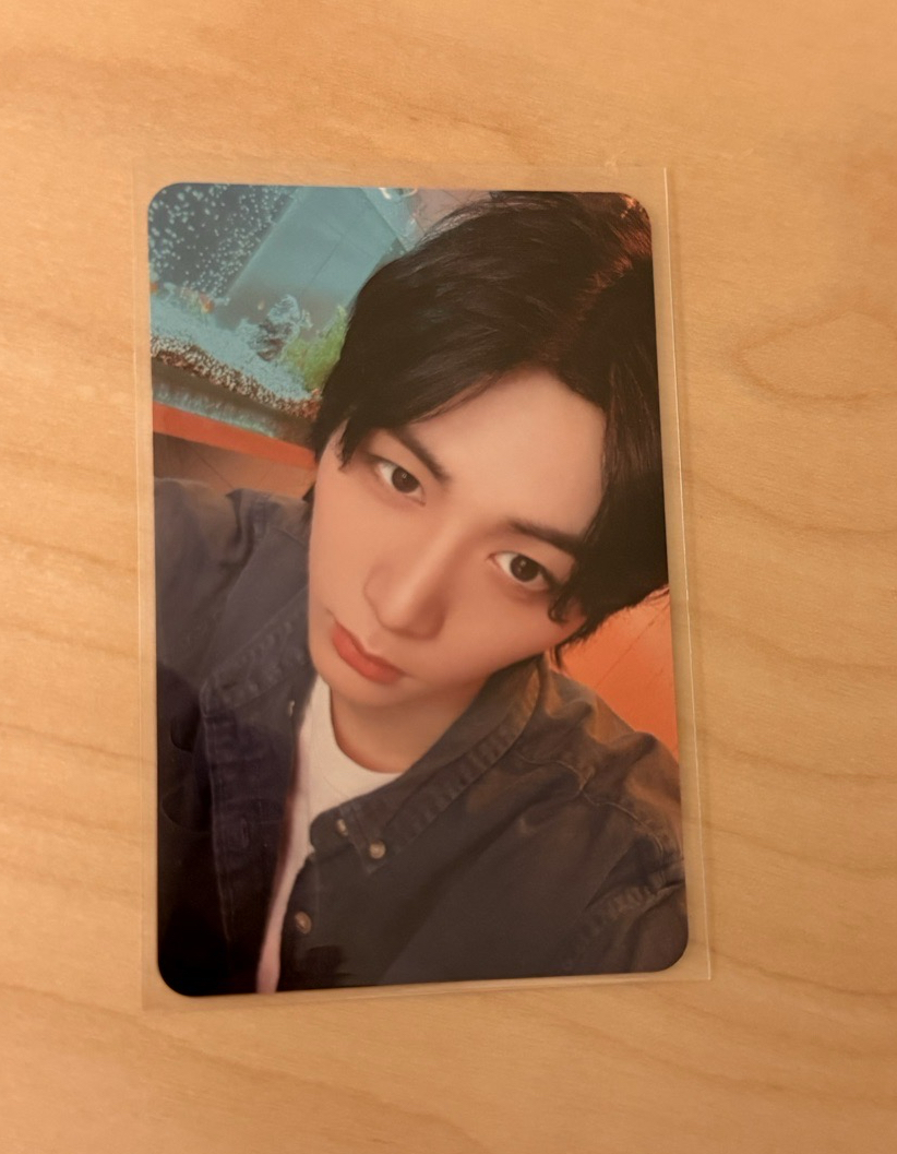 the action 專卡 泰山