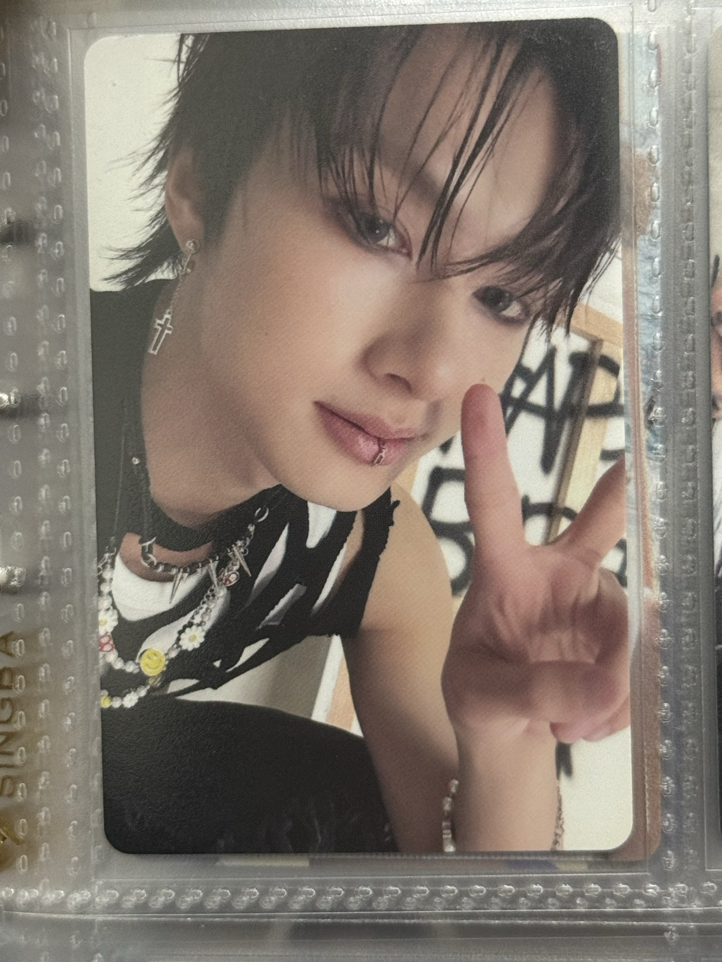 正五 專輯卡 CARAT ver.