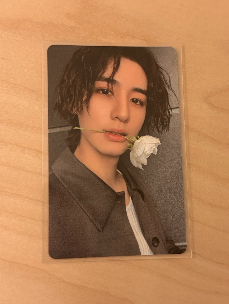 the action wvs 特典卡 李涵