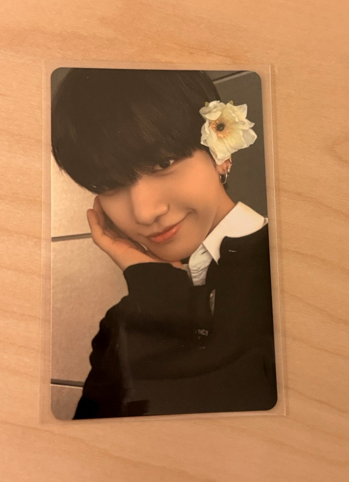 the action wvs 特典卡 宰鉉