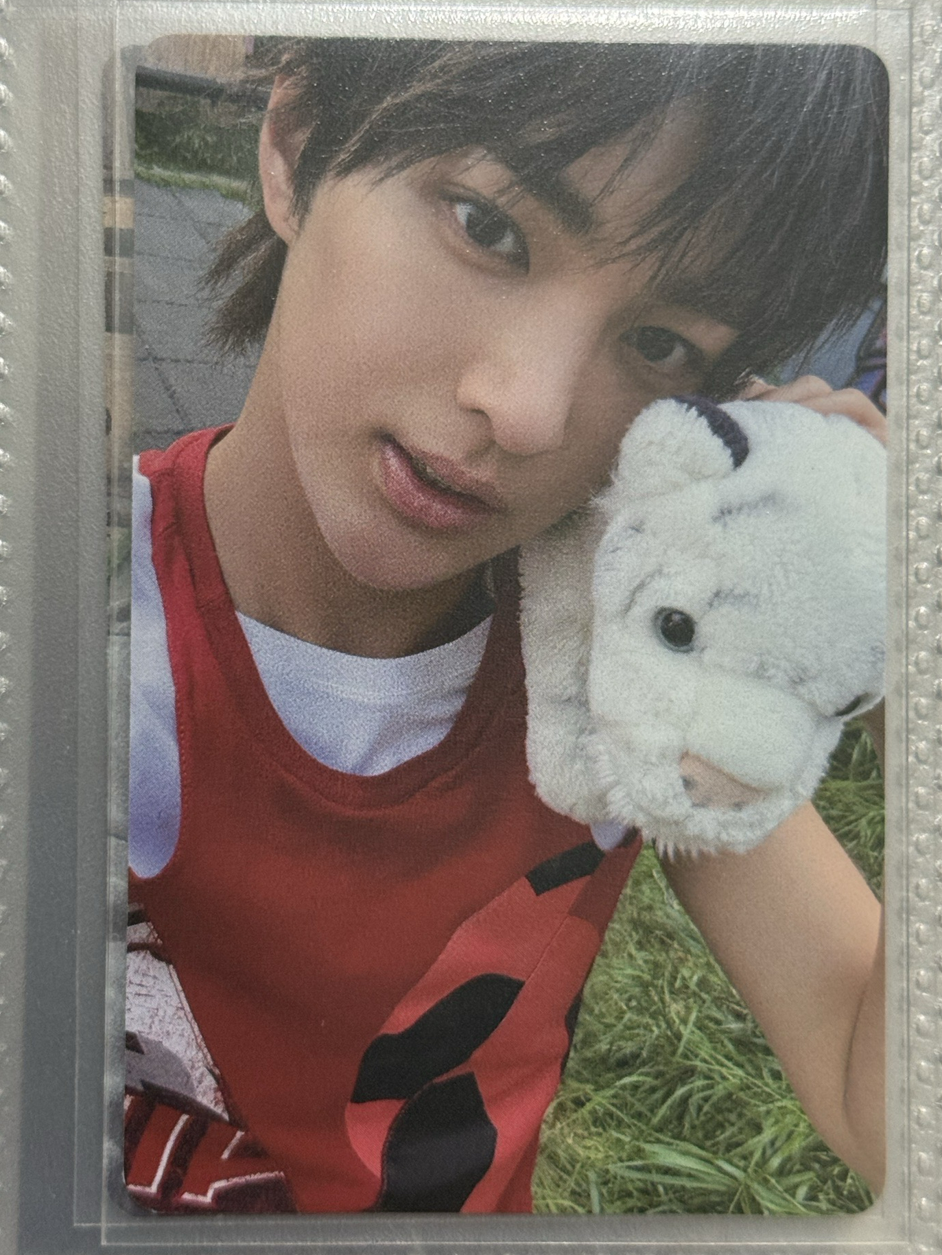 迷一 wvs 專輯卡 電子專 B ver.