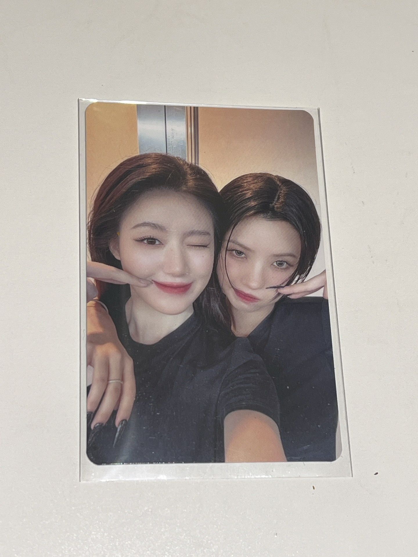 華納-花卷「一元起標，標多少賣多少」