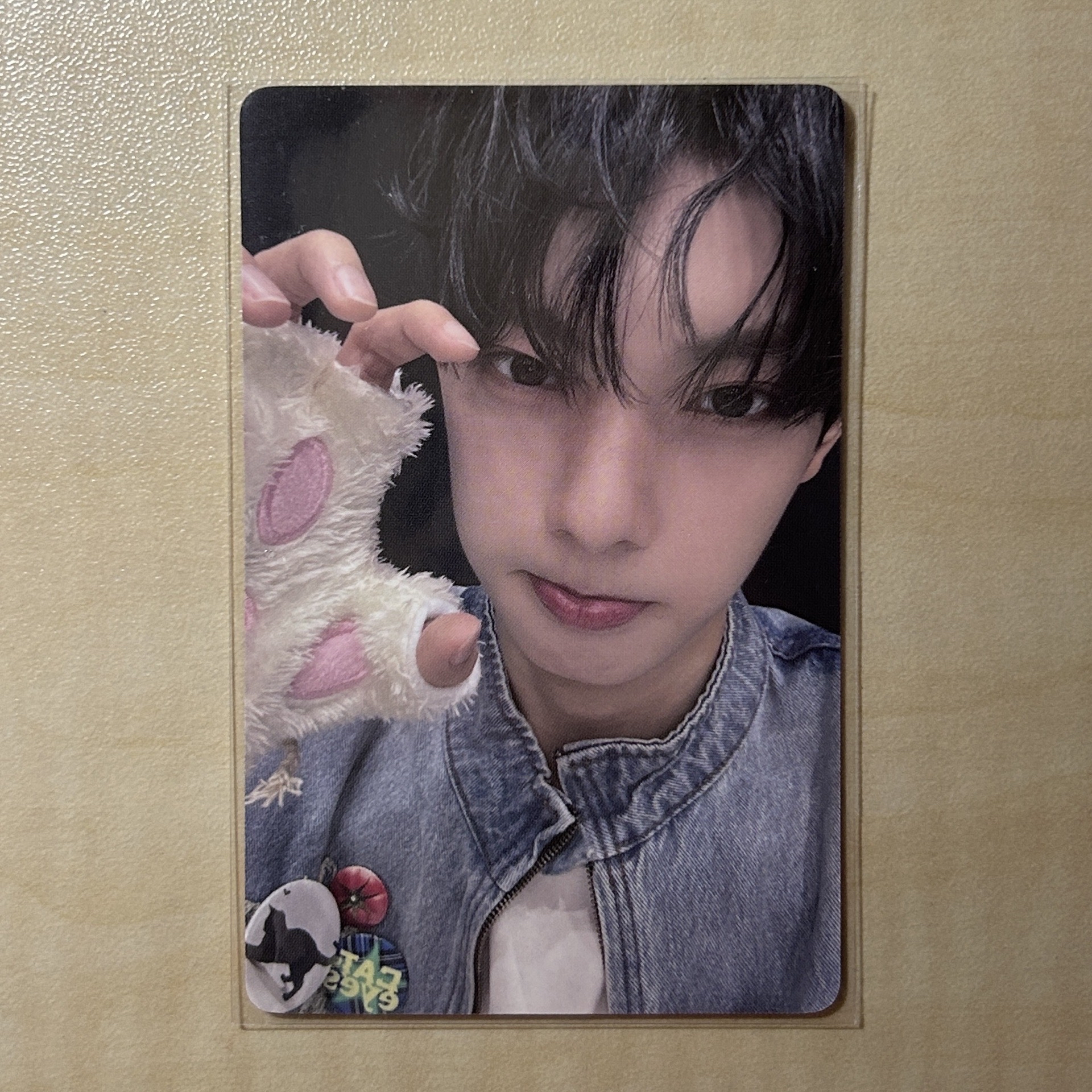 崔立于 糖高 貓爪