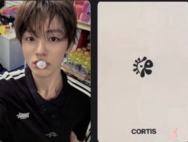 泡泡糖鹽鹽跟賤貓一起買的話就送bdm玹🥺