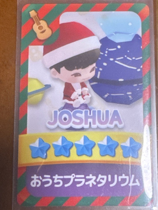 puzzle 遊戲卡/Joshua/秀