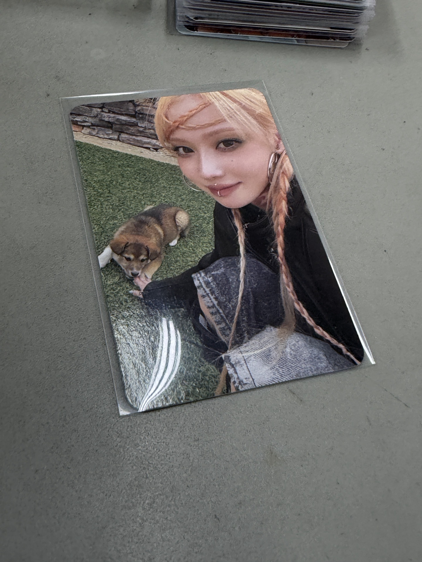 冬正規一摸狗狗專卡