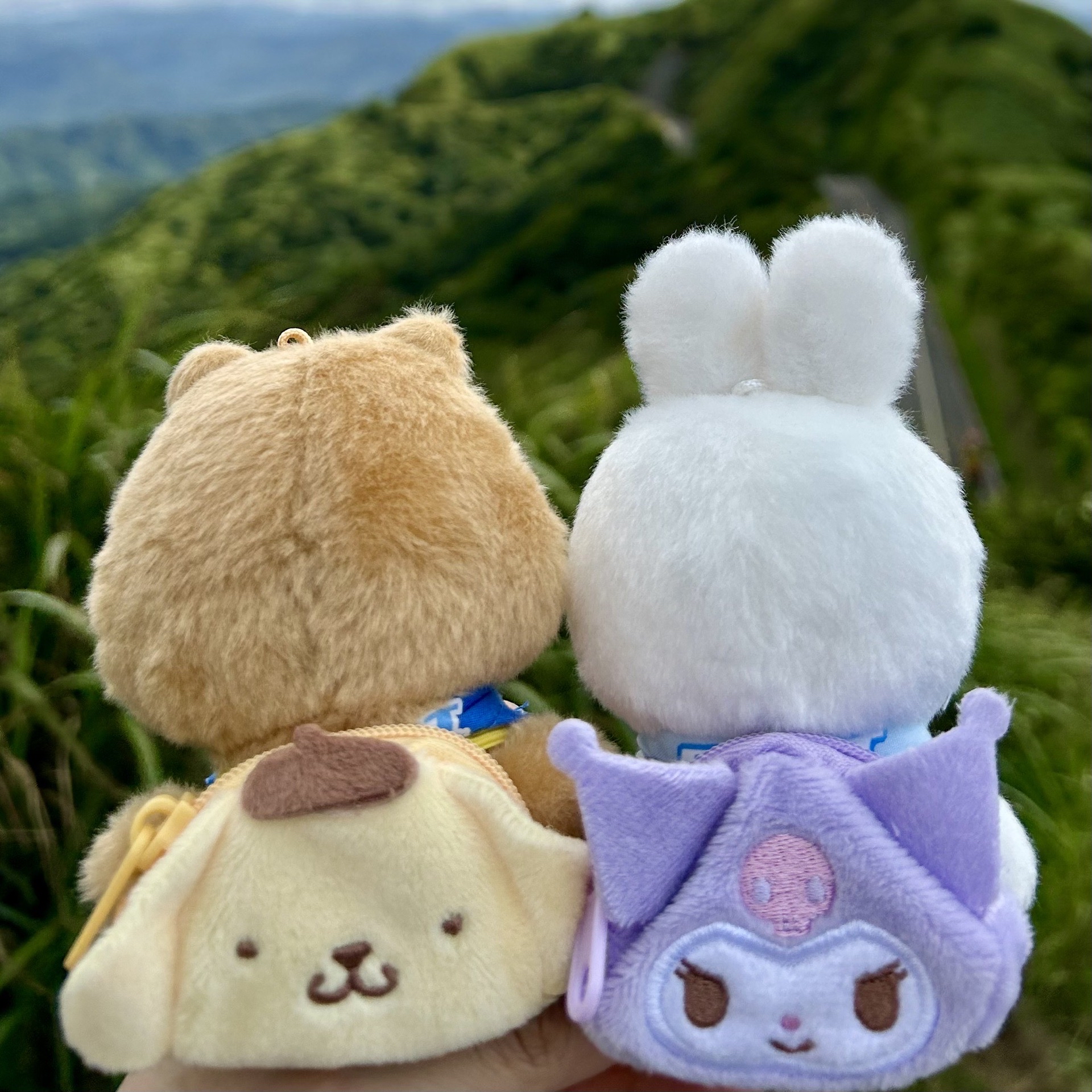 三麗鷗 迷你後背包吊飾 酷洛米（有實背圖）