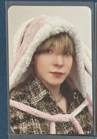 Spin off 粉兔潤浩+盤出