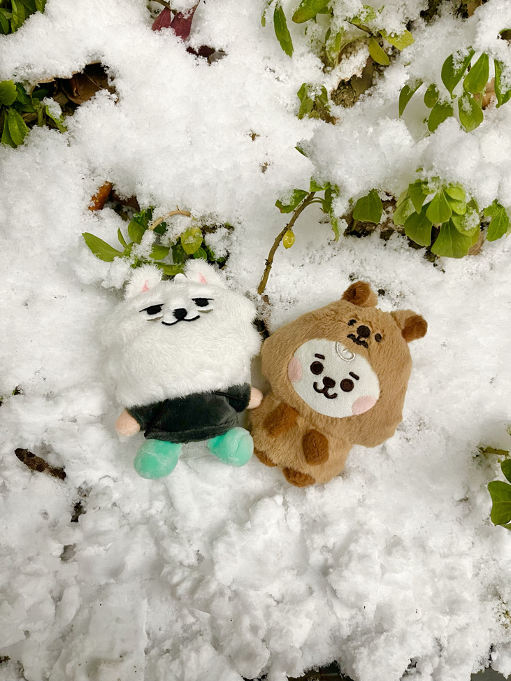 金碩珍珠鮮奶茶微微