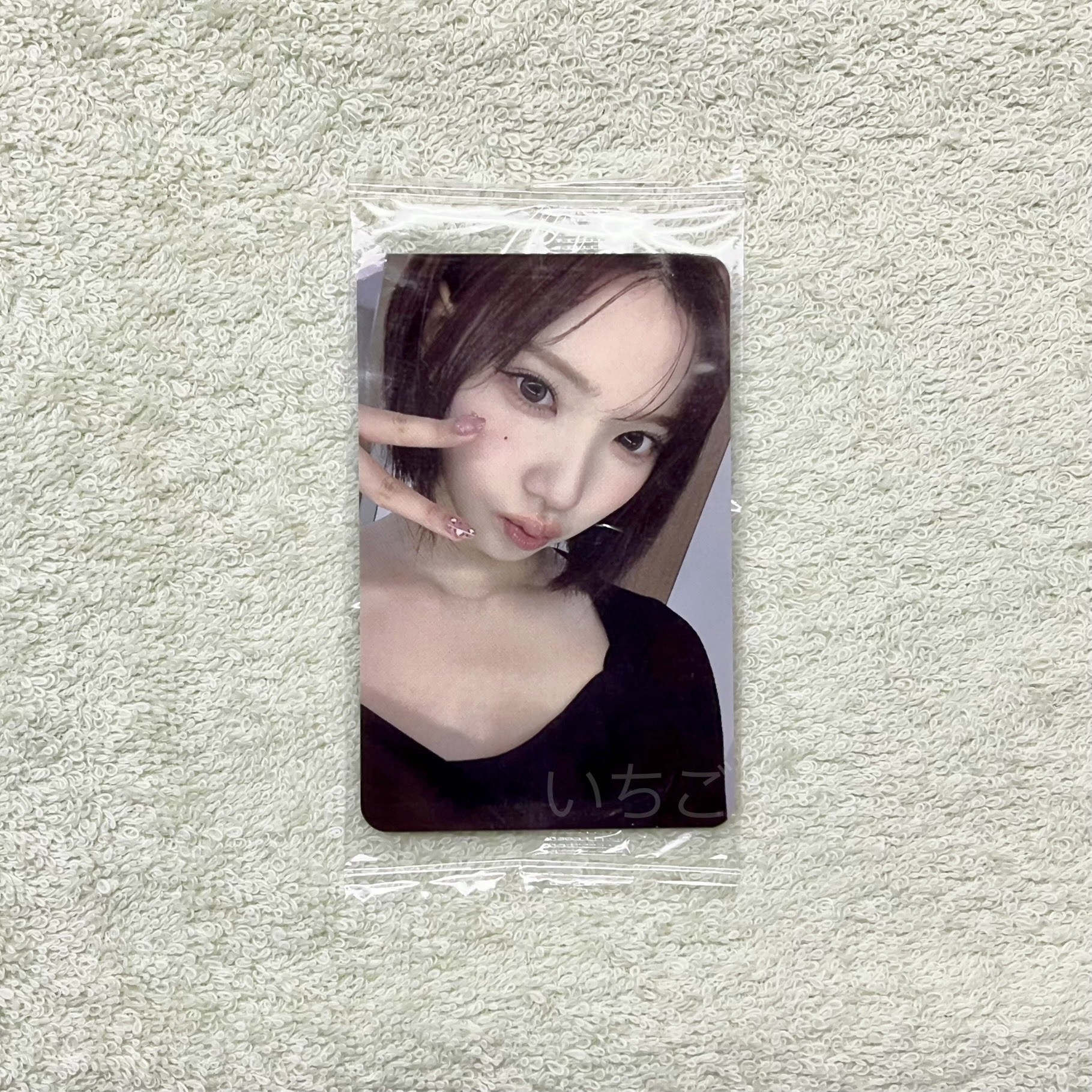 Jiwoo🍓FOCUS K4簽售特典2.0