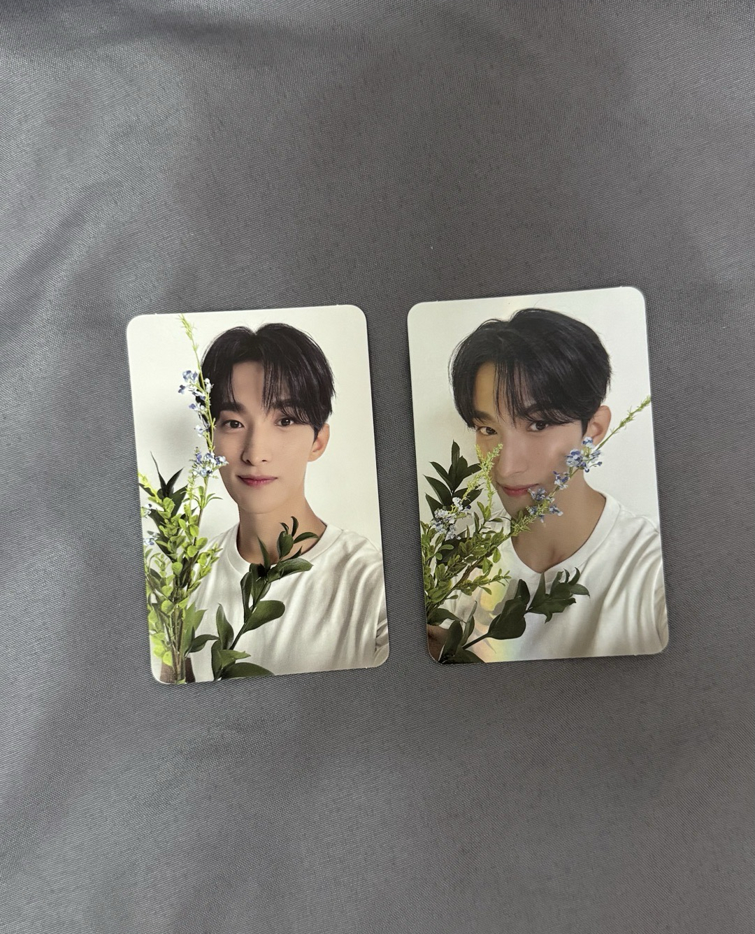 精選專碩珉克拉盤小卡