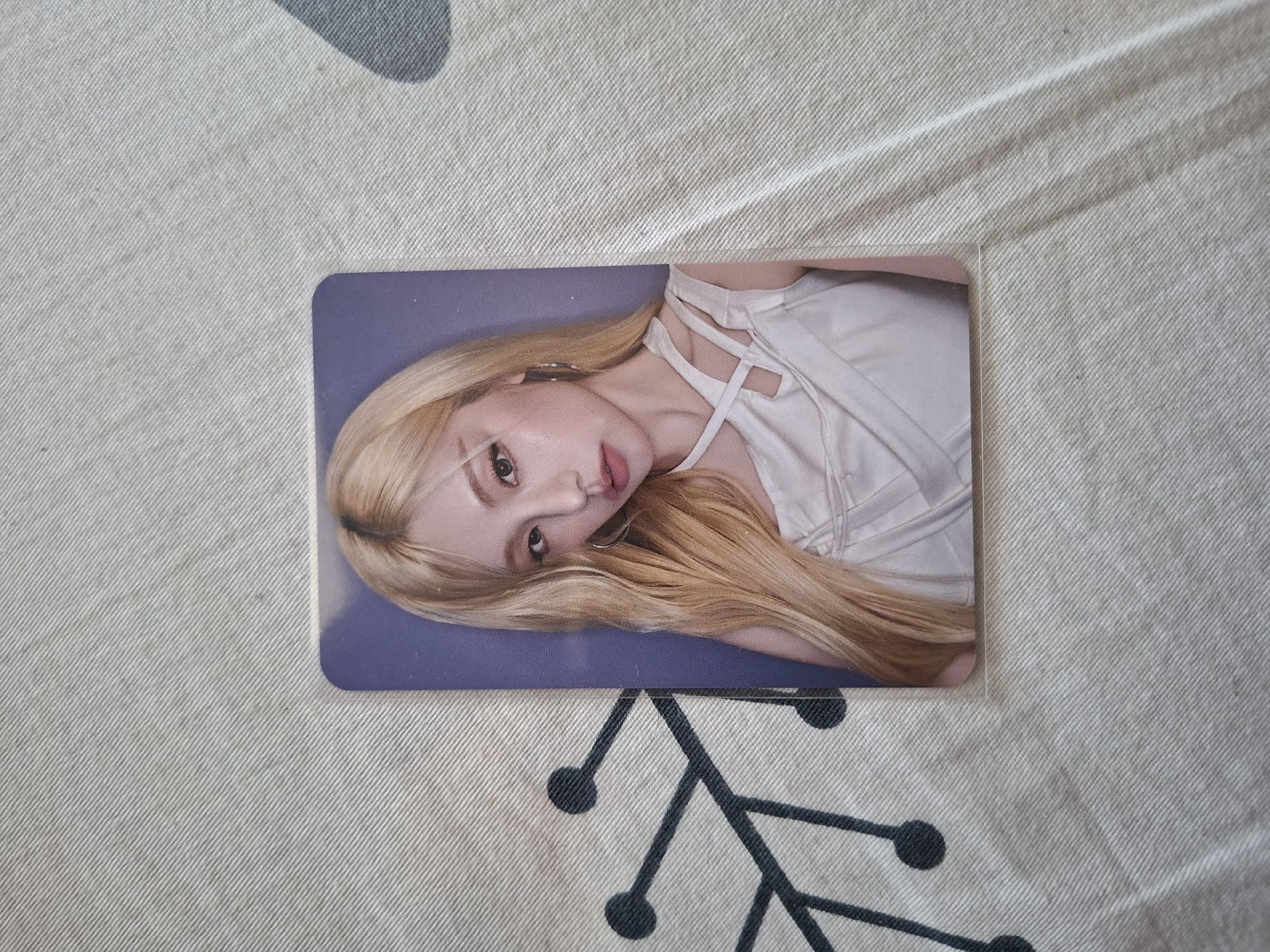 MS3.0 當日服裝志