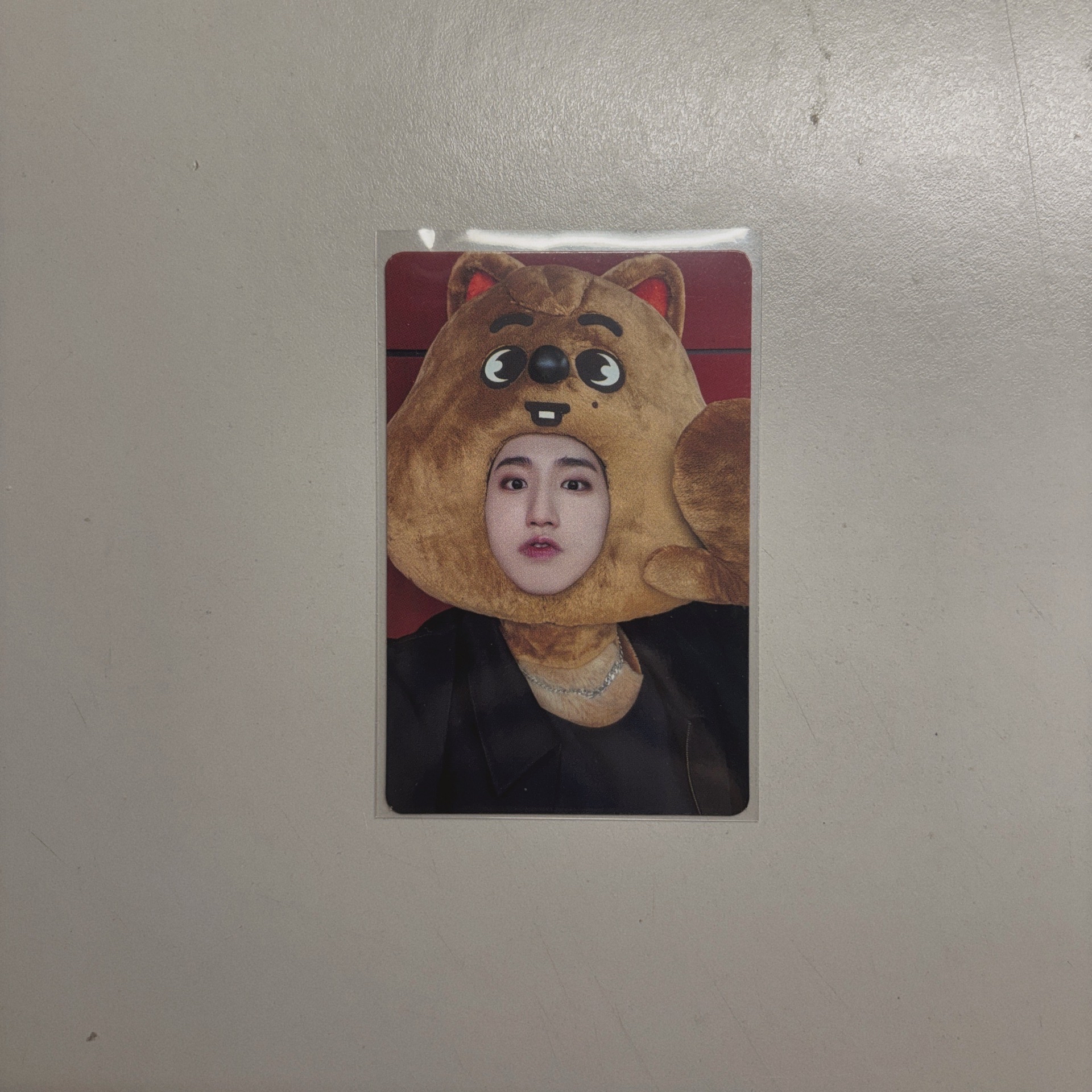 Stray Kids韓知城JYP特典