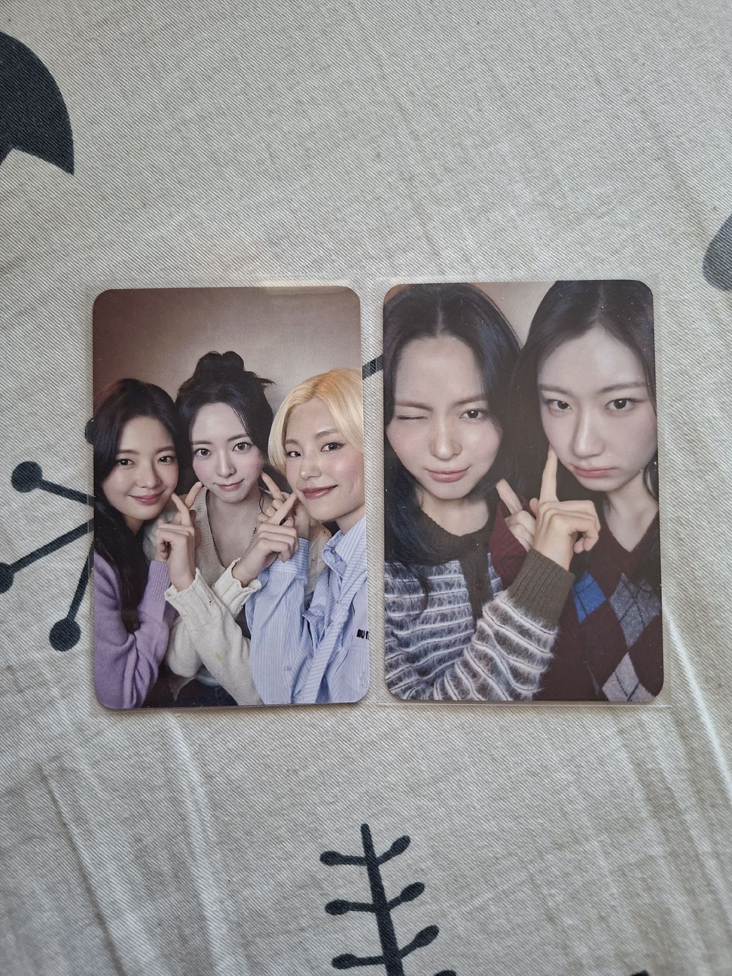 TNVS 台特合影分隊卡