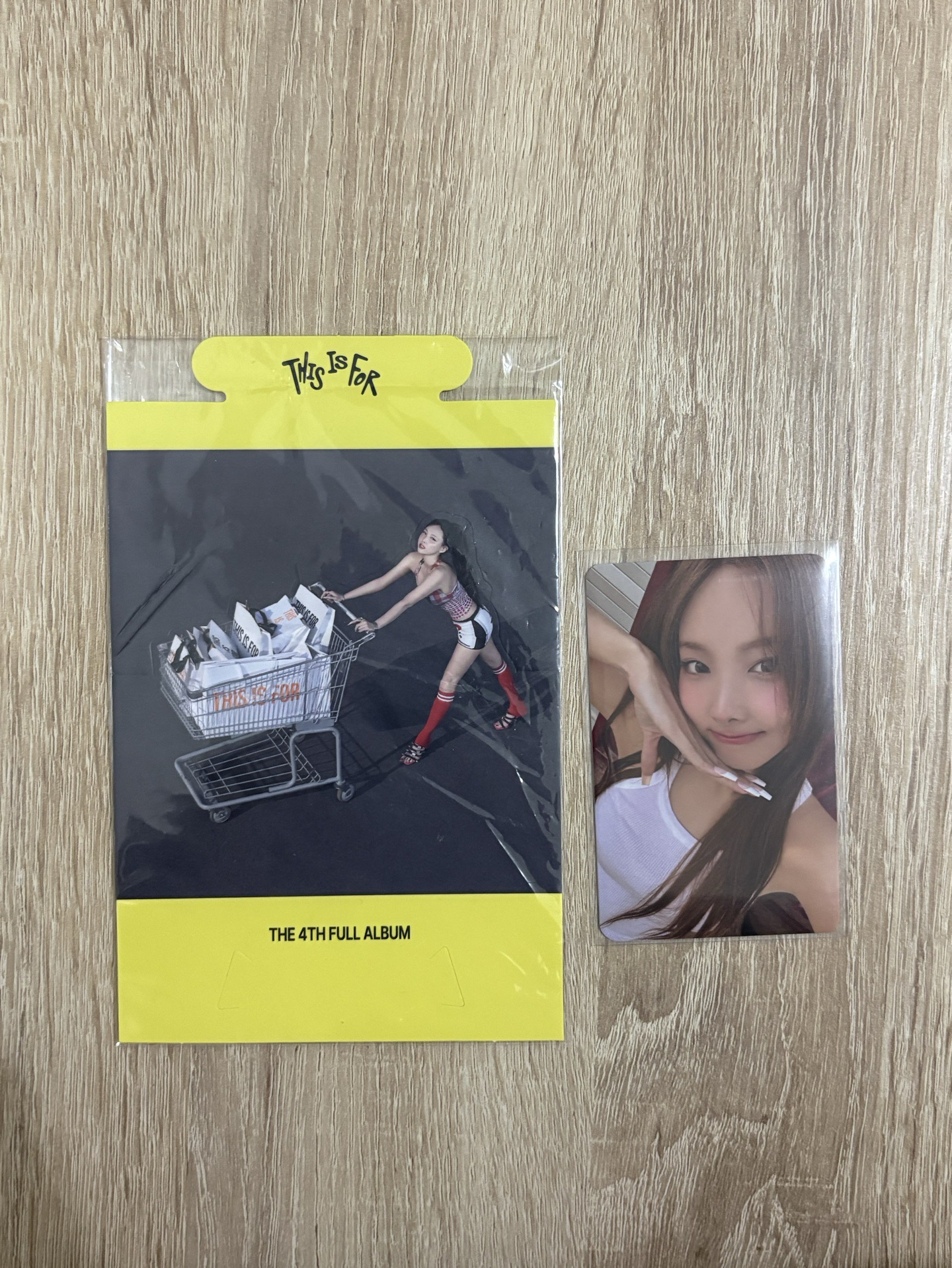 娜璉 啤酒節入場卡