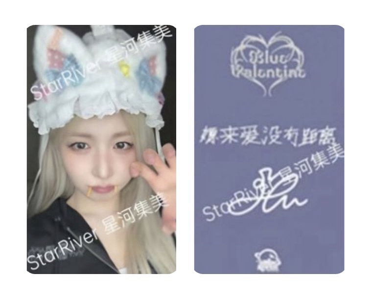 🪼正規一 sr吸血鬼貓 嫄