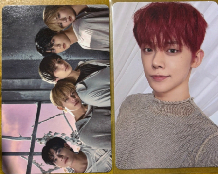 Sanctuary 電子專竣