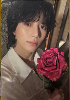 Tomorrow Romantic 圭