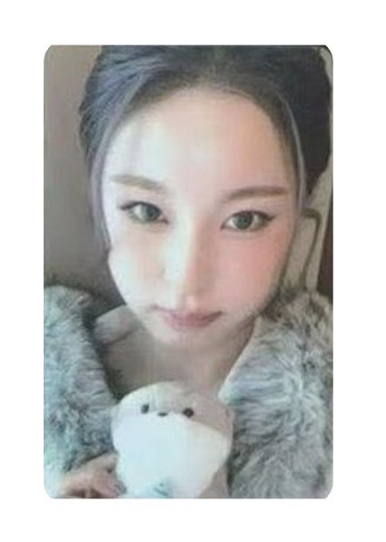 🌟正規一 數星星獺獺抱抱 圭