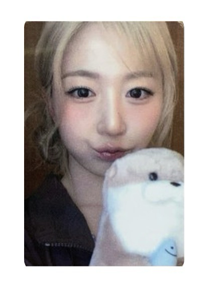 🐳正規一 數星星獺獺抱抱 嫄