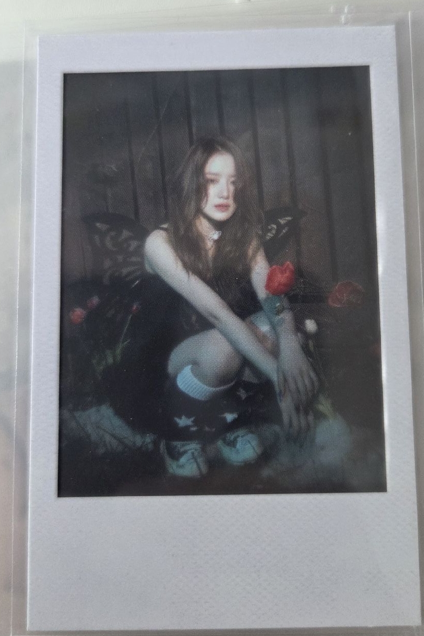 蝴蝶專拍立得刷