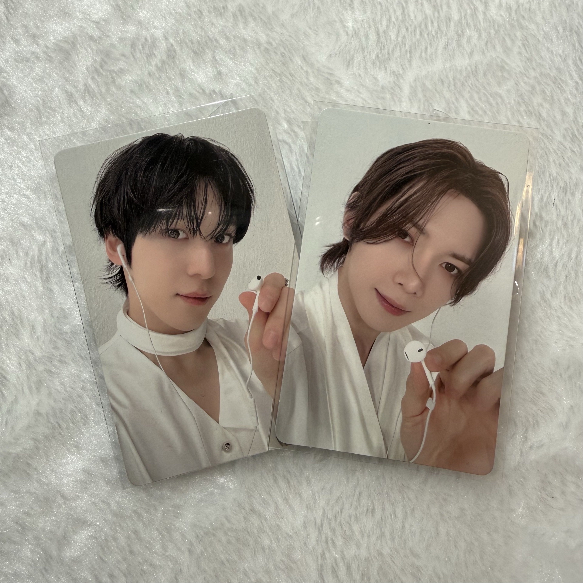 大小狗狗約你一起聽音樂