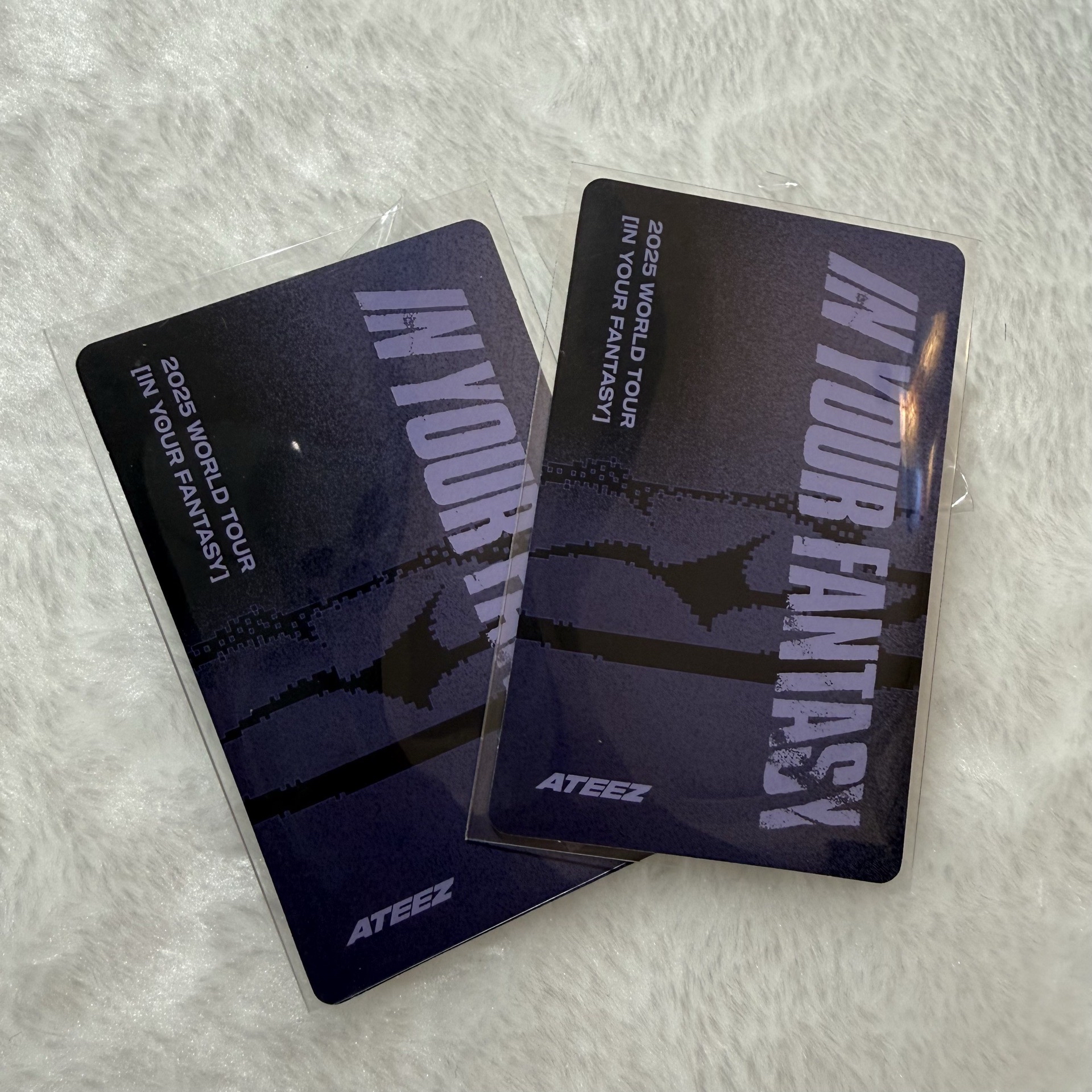 大小狗狗約你一起聽音樂