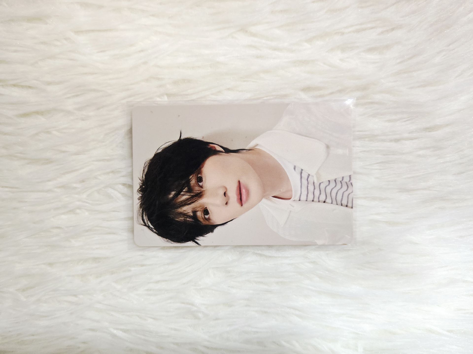 25日本夏日隨機卡 圭