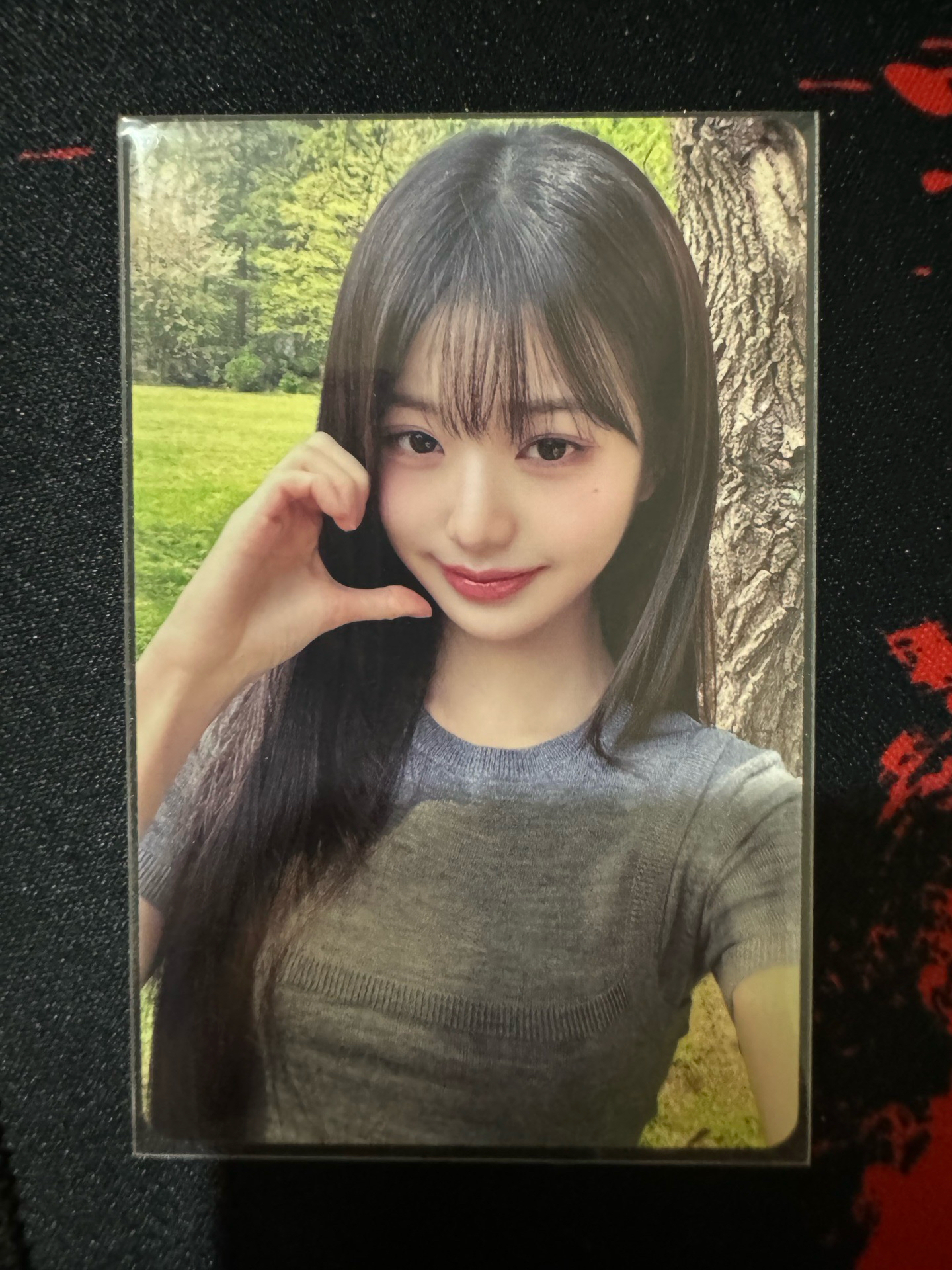 IVE DICON 2024 愛心員