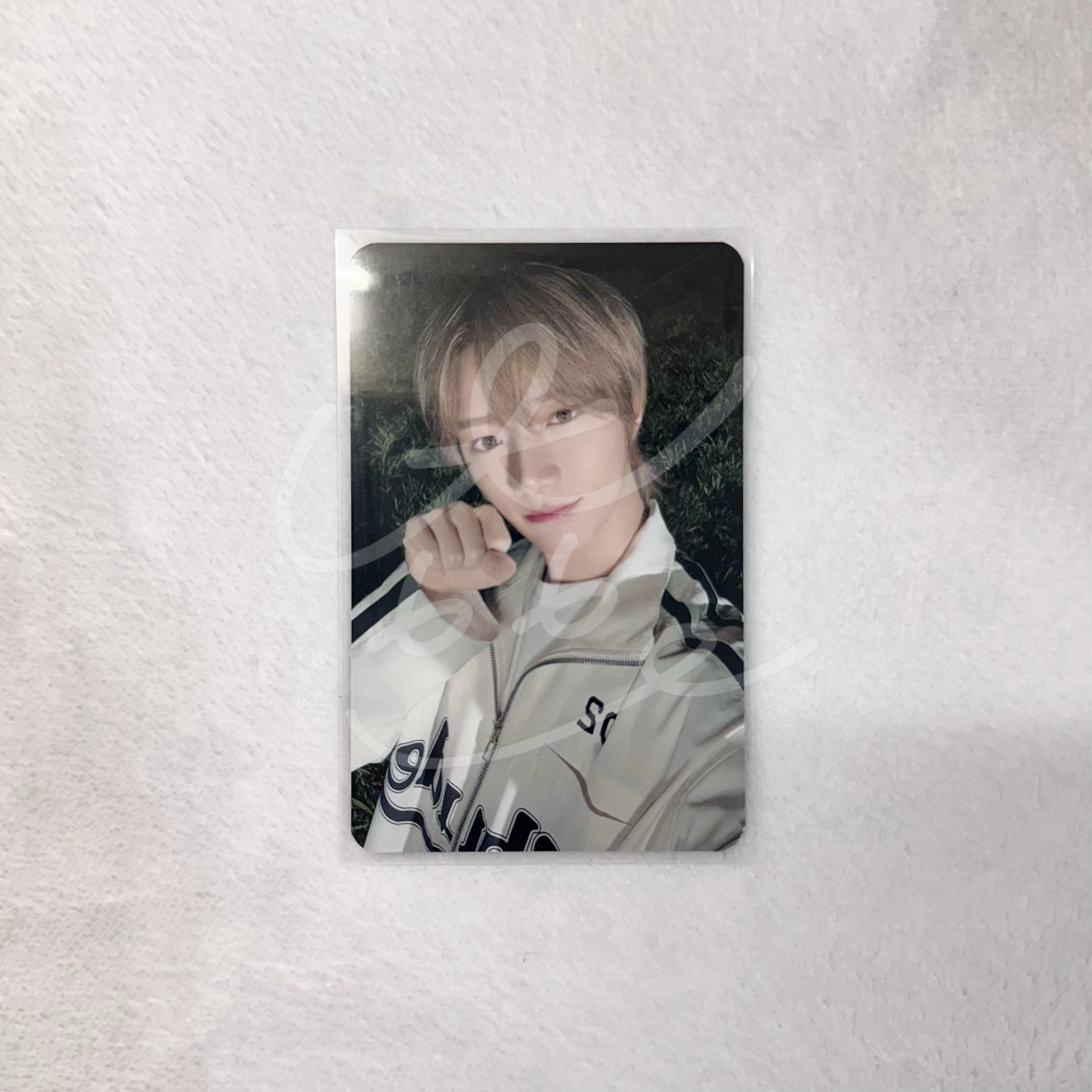 杋圭 迷七數星星北京簽售中背