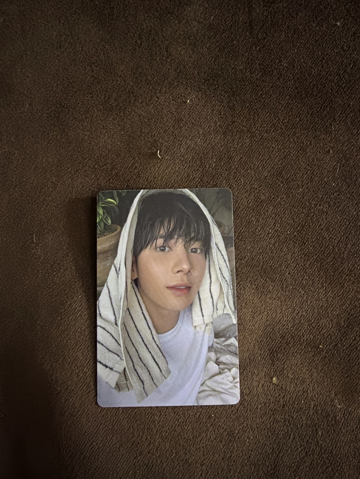 The Star Chapter: SANCTUARY" 專輯的ANGEL 版本