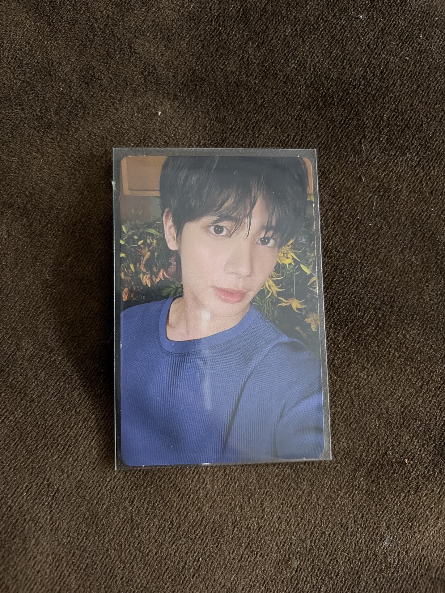 《The Star Chapter: SANCTUARY》的Weverse Albums 版本小卡