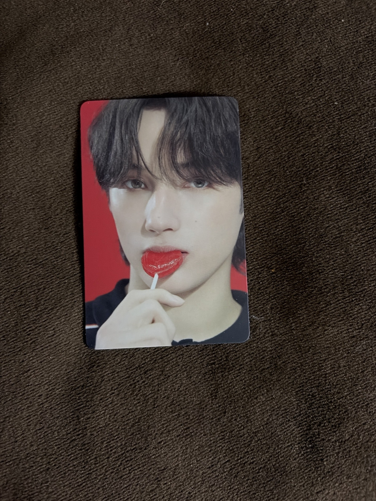 The Star Chapter: SANCTUARY" LOVER 版