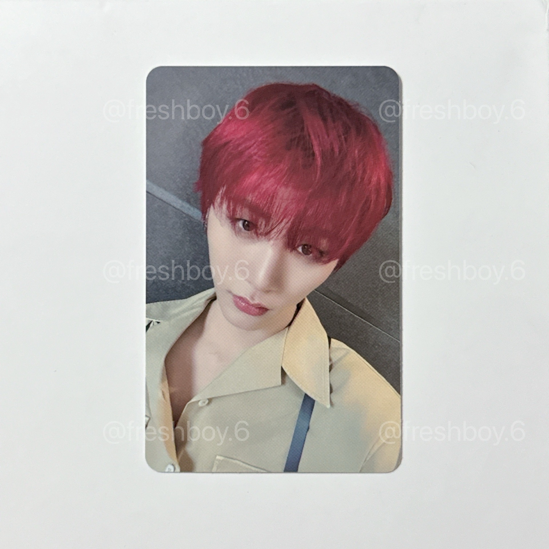 BND｜No Genre wf 特別禮 泰山