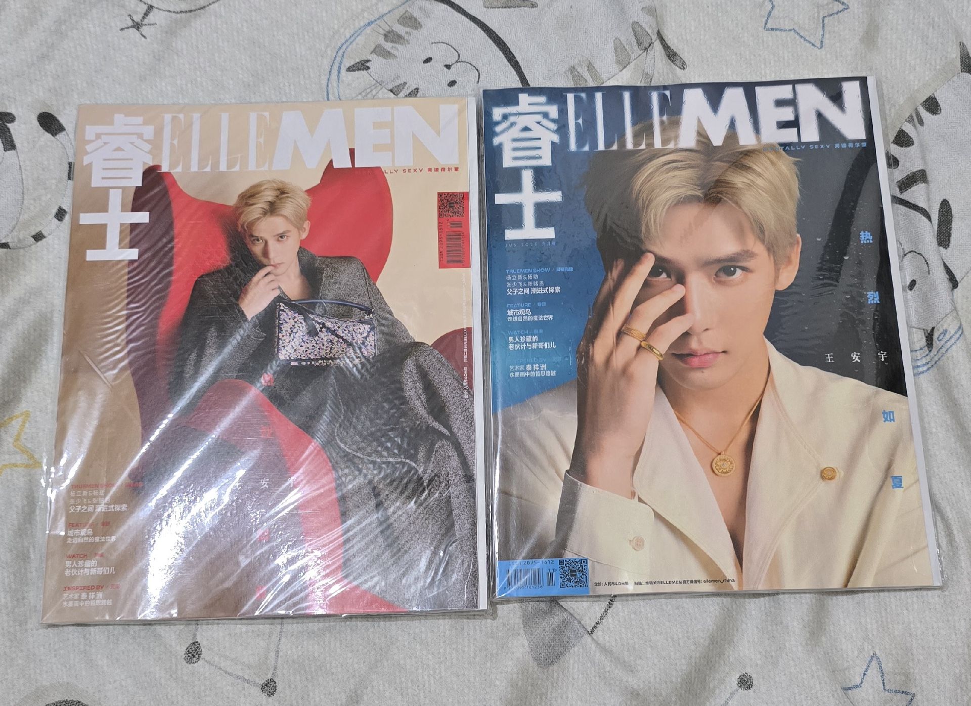 王安宇睿士雜誌