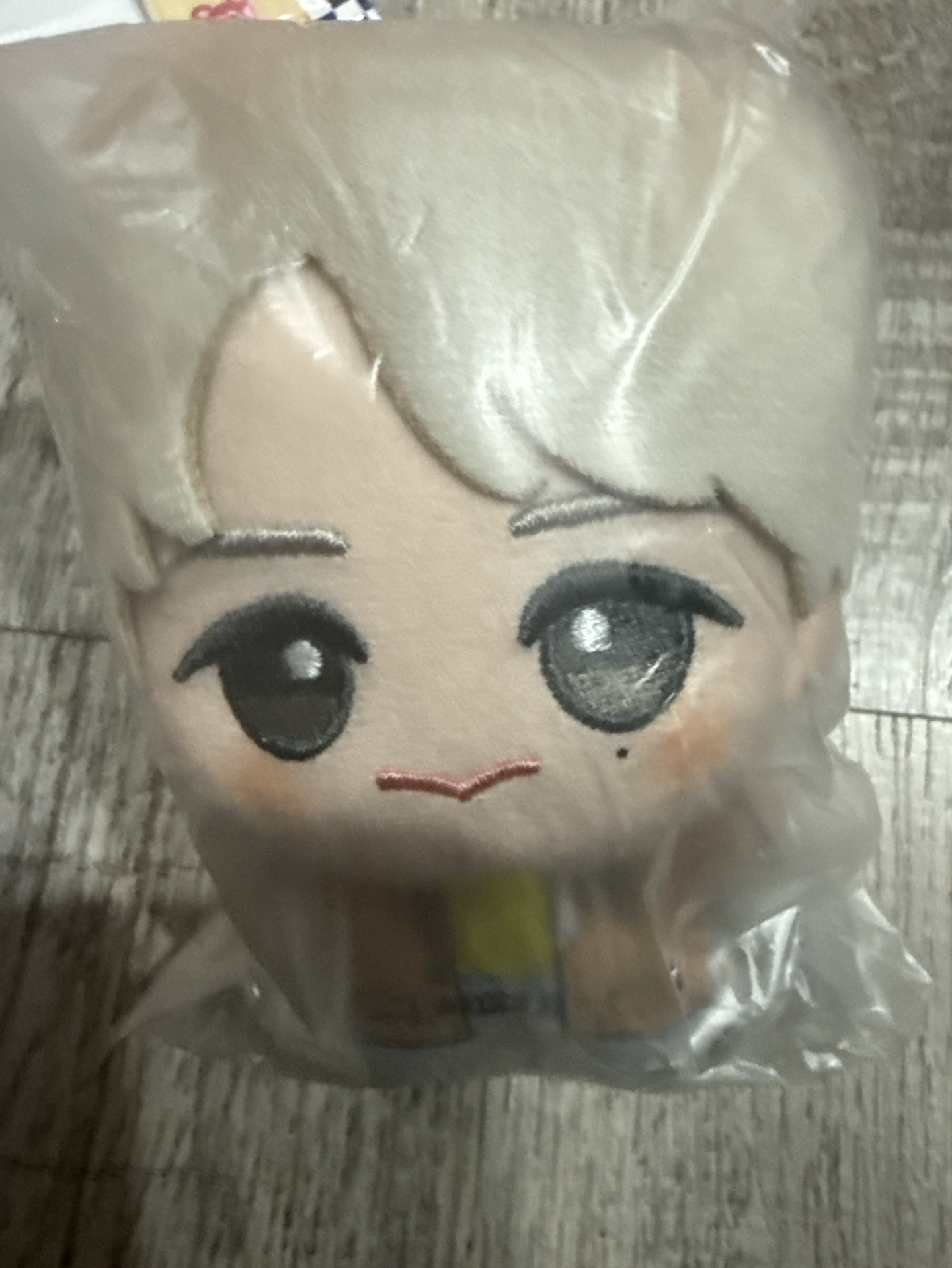 RIIZE 將太郎努努娃