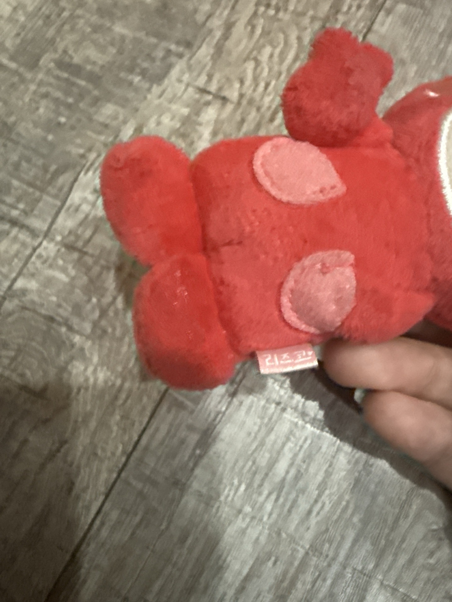 RIIZE 將太郎 栗子扣 情人節10公分娃