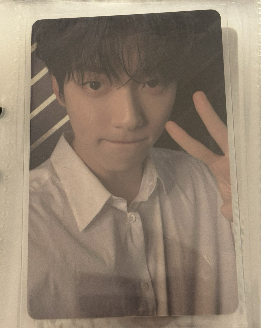 中背 兔兔大王在此