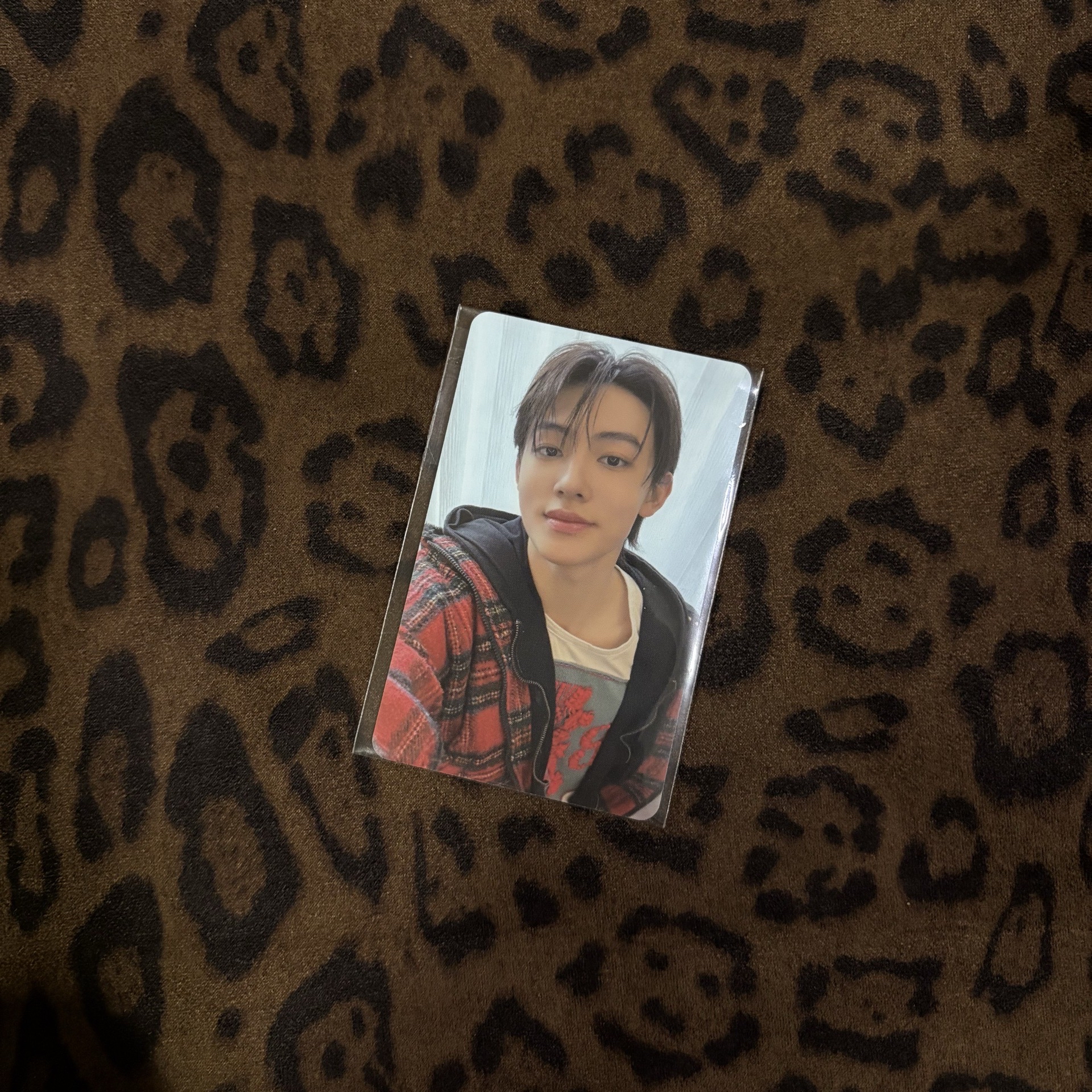 迷一 mp 特典卡 2025年末禮