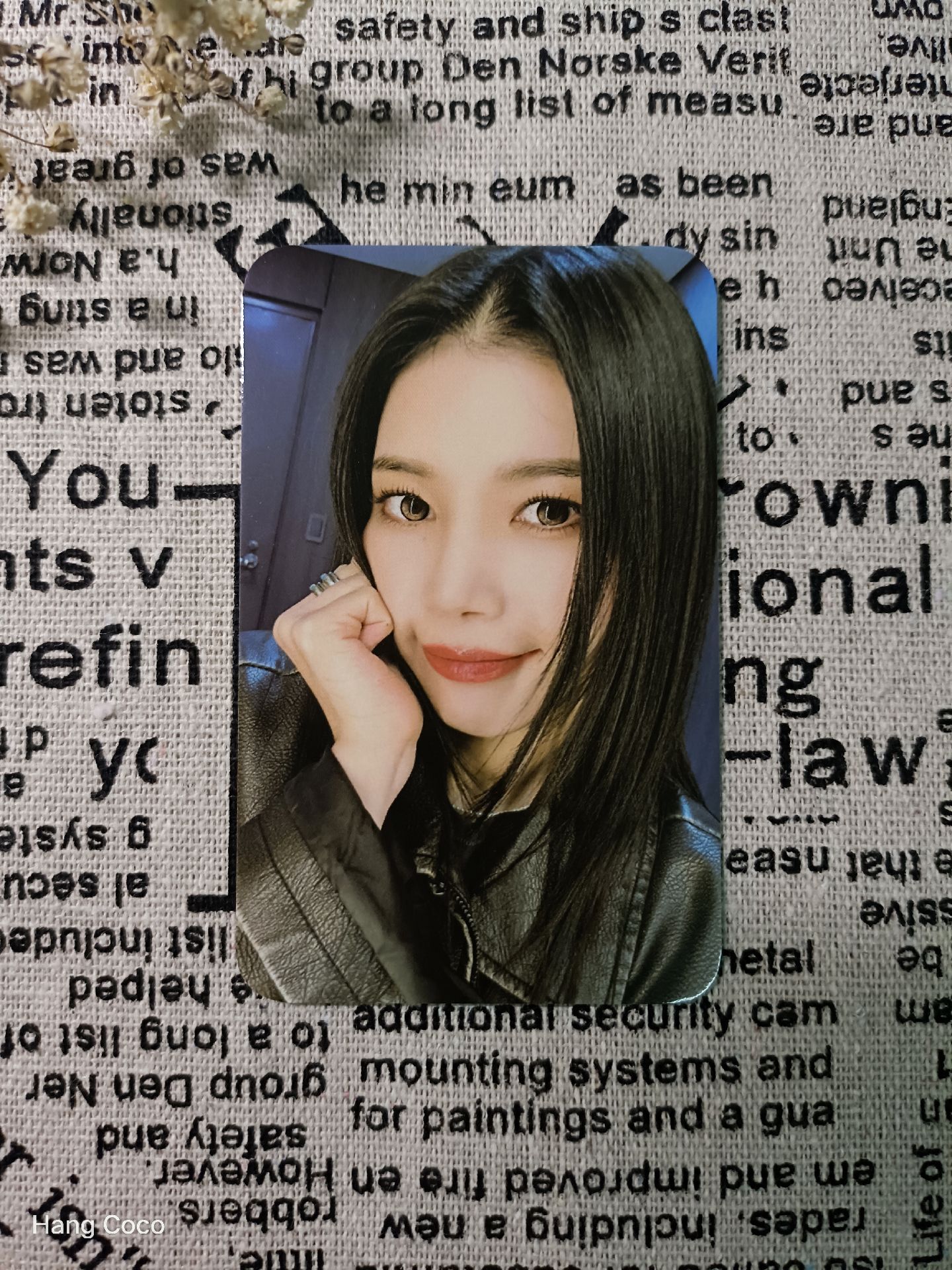 ♪一套兩張♪MAMAMOO+ K-Wonder 場限小卡 🥠可當綁🥠