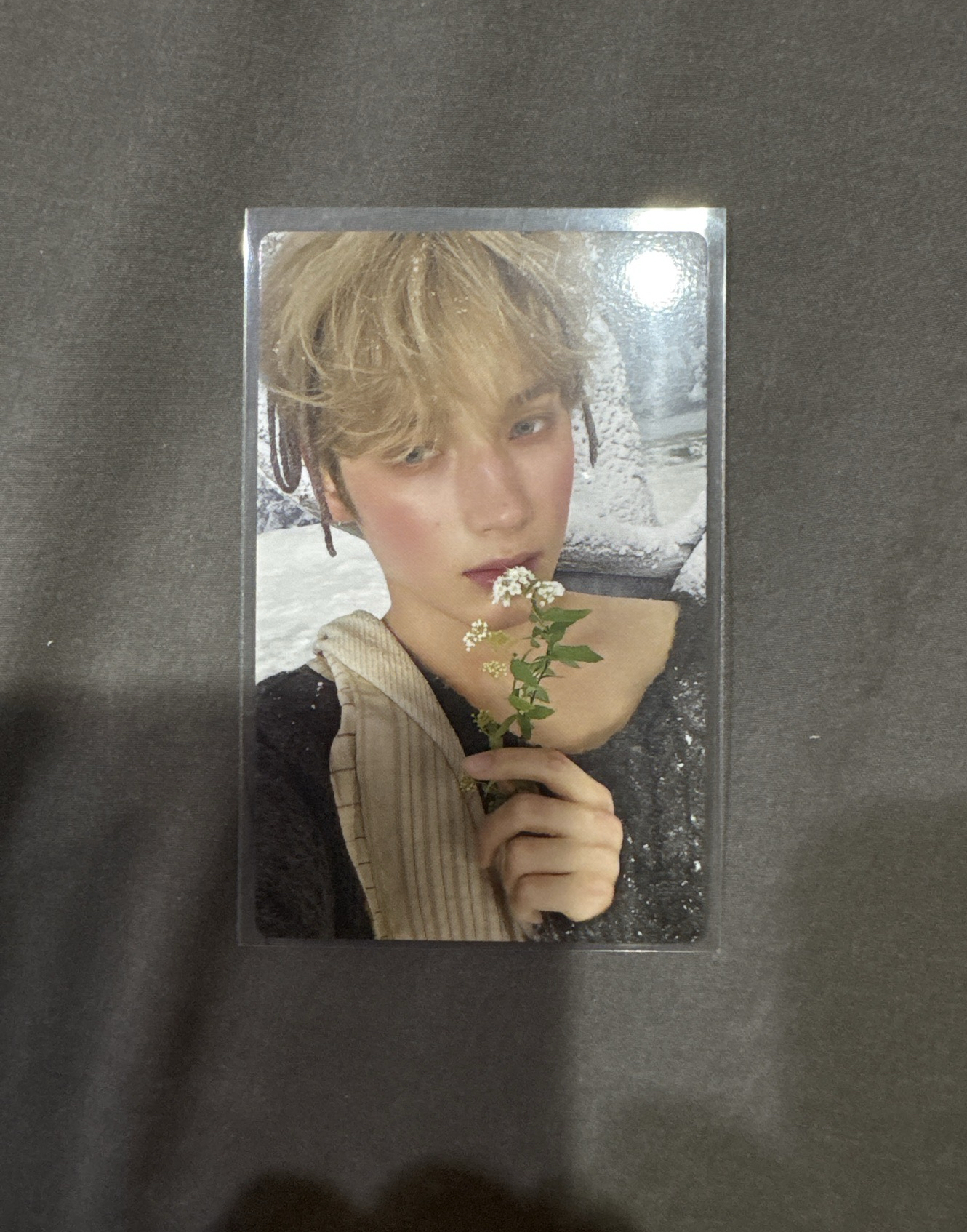 TXT 休寧 中背 迷七特典 日咖