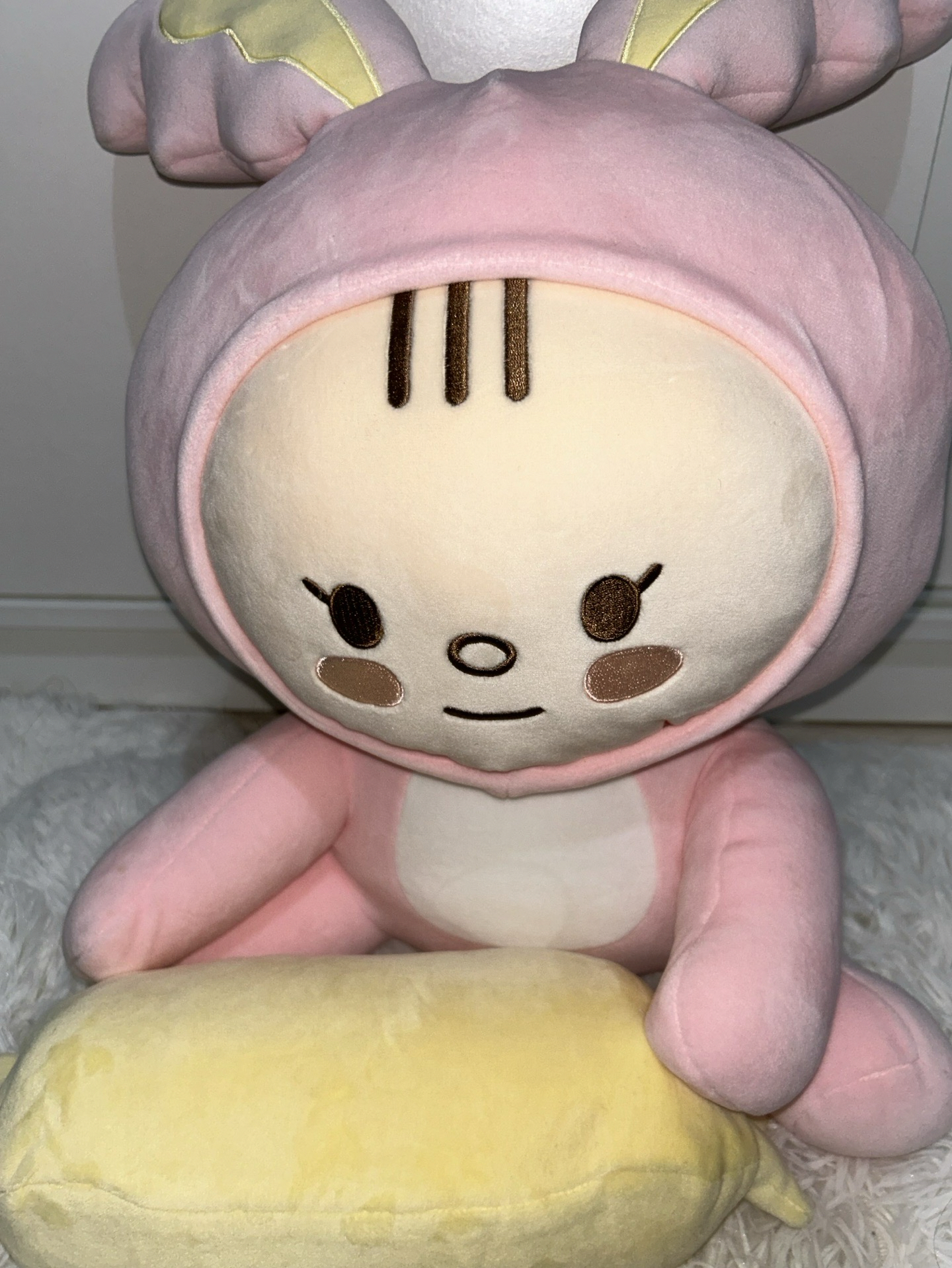 成員自製漢 淨兔鼠娃