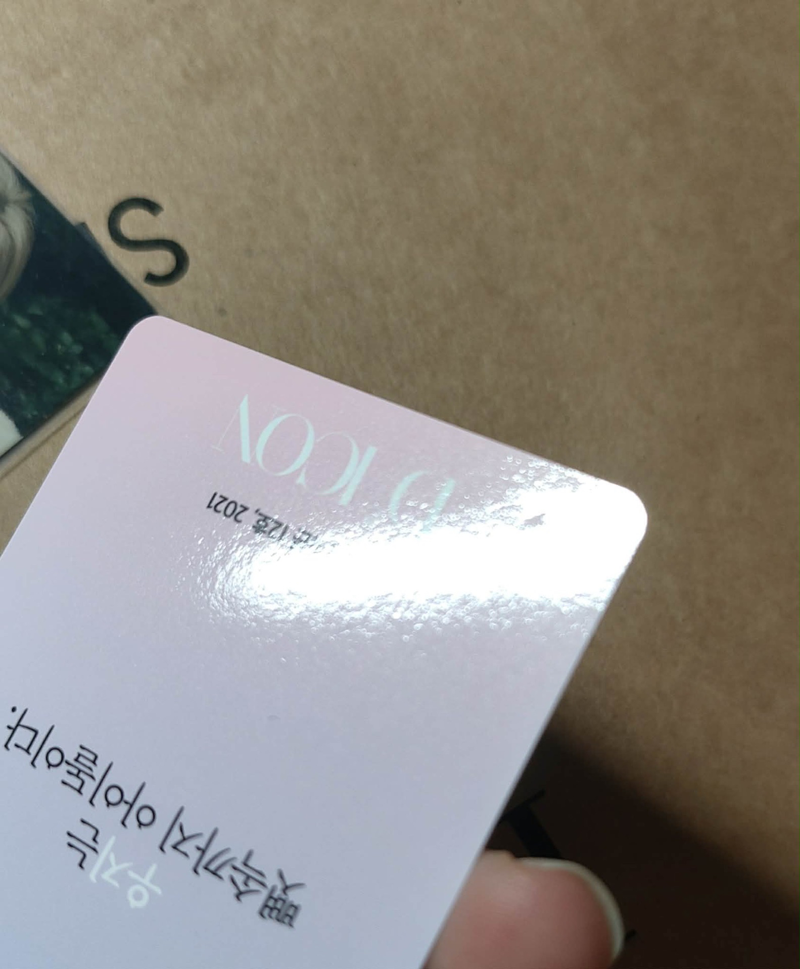 21年D社抱熊勳、拍立得勳