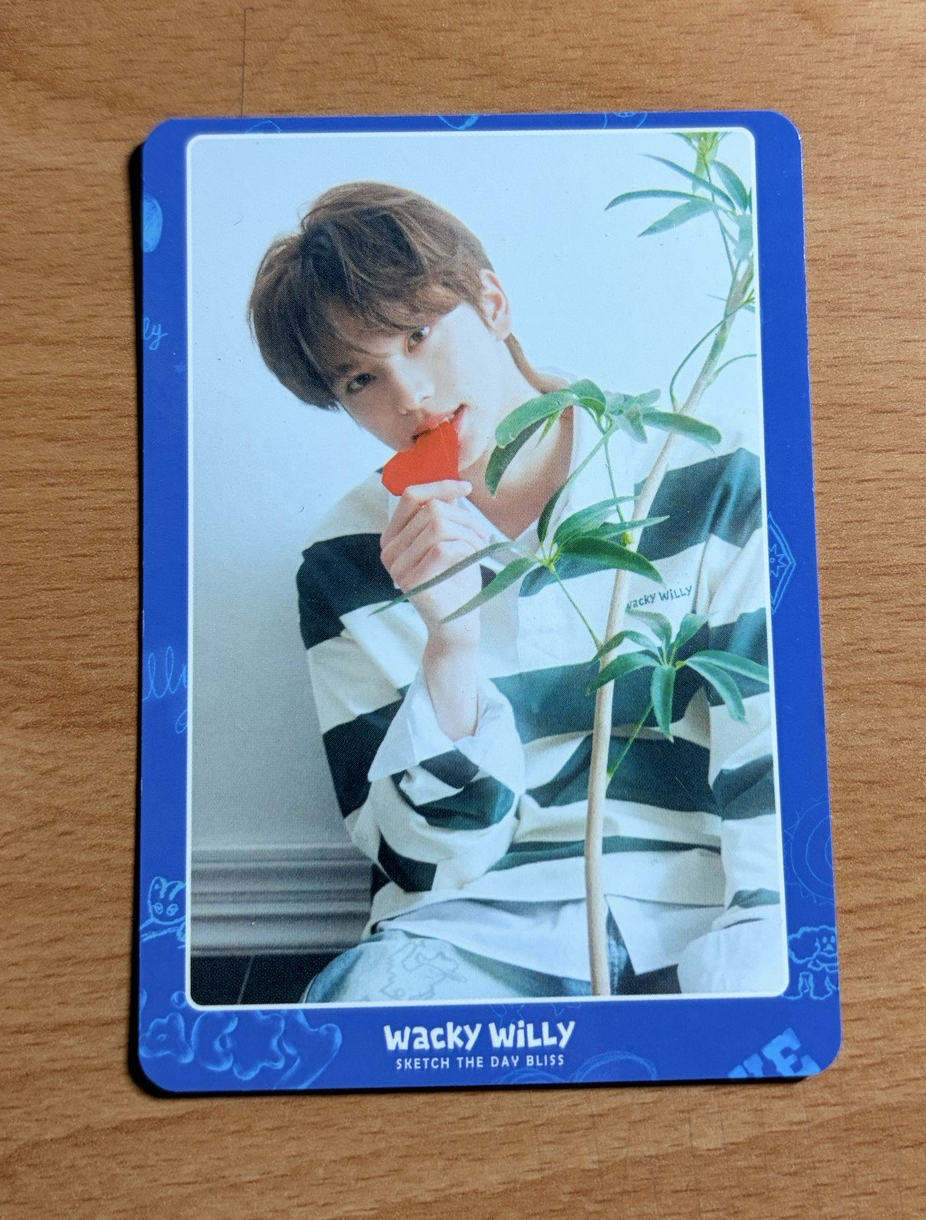 Wacky willy 申惟小卡