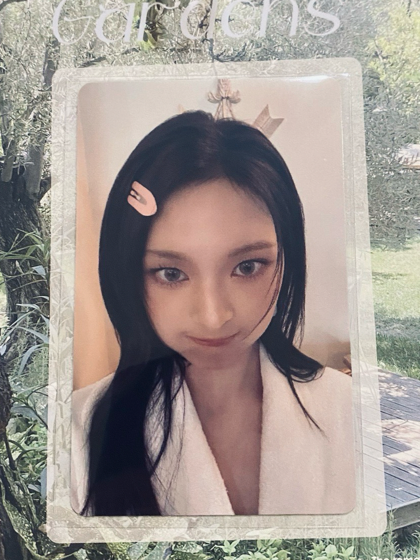 Chiquita / FOREVER wvs TMEA 直播卡 