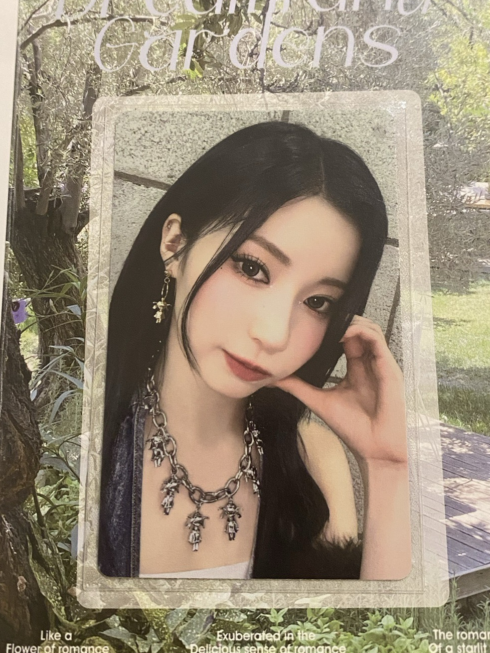 ASA / 25世巡 wvs 線下 幸運卡 